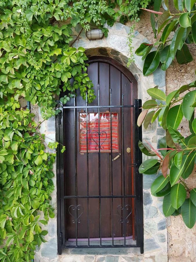 Villa Anna'S Stone House Megala Chorafia Exterior foto